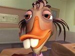 duck.jpg