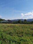 20200820_143847-1.jpg