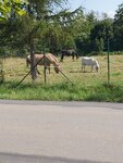20200820_145054.jpg
