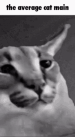 DD3A281A-5759-4115-8A8D-9B1FD80478F2.gif