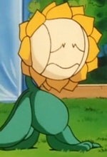 1603234657443.png