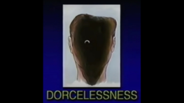 dorcelessness.png