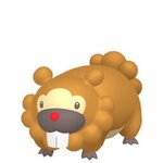 bidoof.jpg