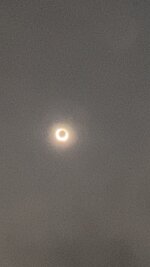 IMG_7461.jpeg