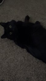 IMG_8228.jpeg