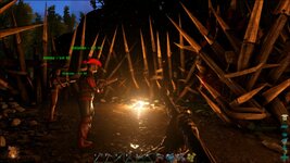 ARK.jpg