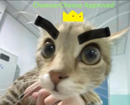 cheesiercheeseapproval.png