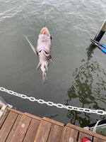 86419869-B264-4D29-80AF-0AA5B5AE4A70.jpeg