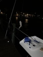 252C1274-4ADF-4956-A635-8CA9F2024554.jpeg