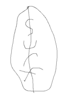 unknown (11).png