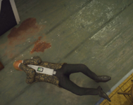 passedout1.PNG