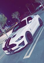 mustang.jpg