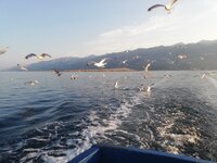 IMG_20210724_063903.jpg
