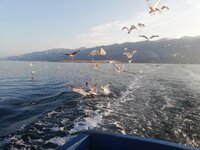 IMG_20210724_063906.jpg