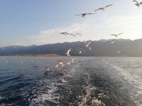 IMG_20210724_063852.jpg