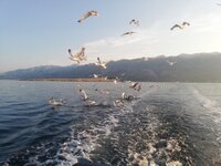 IMG_20210724_063846.jpg