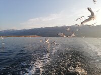 IMG_20210724_063837.jpg