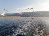 IMG_20210724_063831.jpg