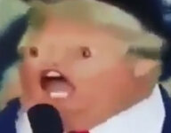 1593243411952.jpg