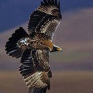 HighFlyer