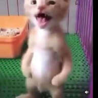 Smidge