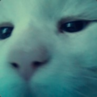 DanJK