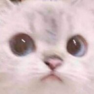 emeowly
