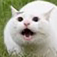 Geopou
