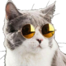 PatchieMarx