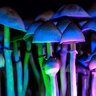 mushrooom