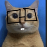 Kaz