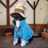 NinjaMittens