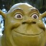 ShreksSwamp