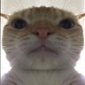 MazzexTV