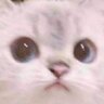 emeowly