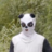 pogotf