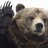TheMadGrizzly