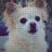 TinyGreenDino