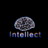 MrIntellect