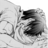 Leos