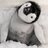 PenguinSlacker